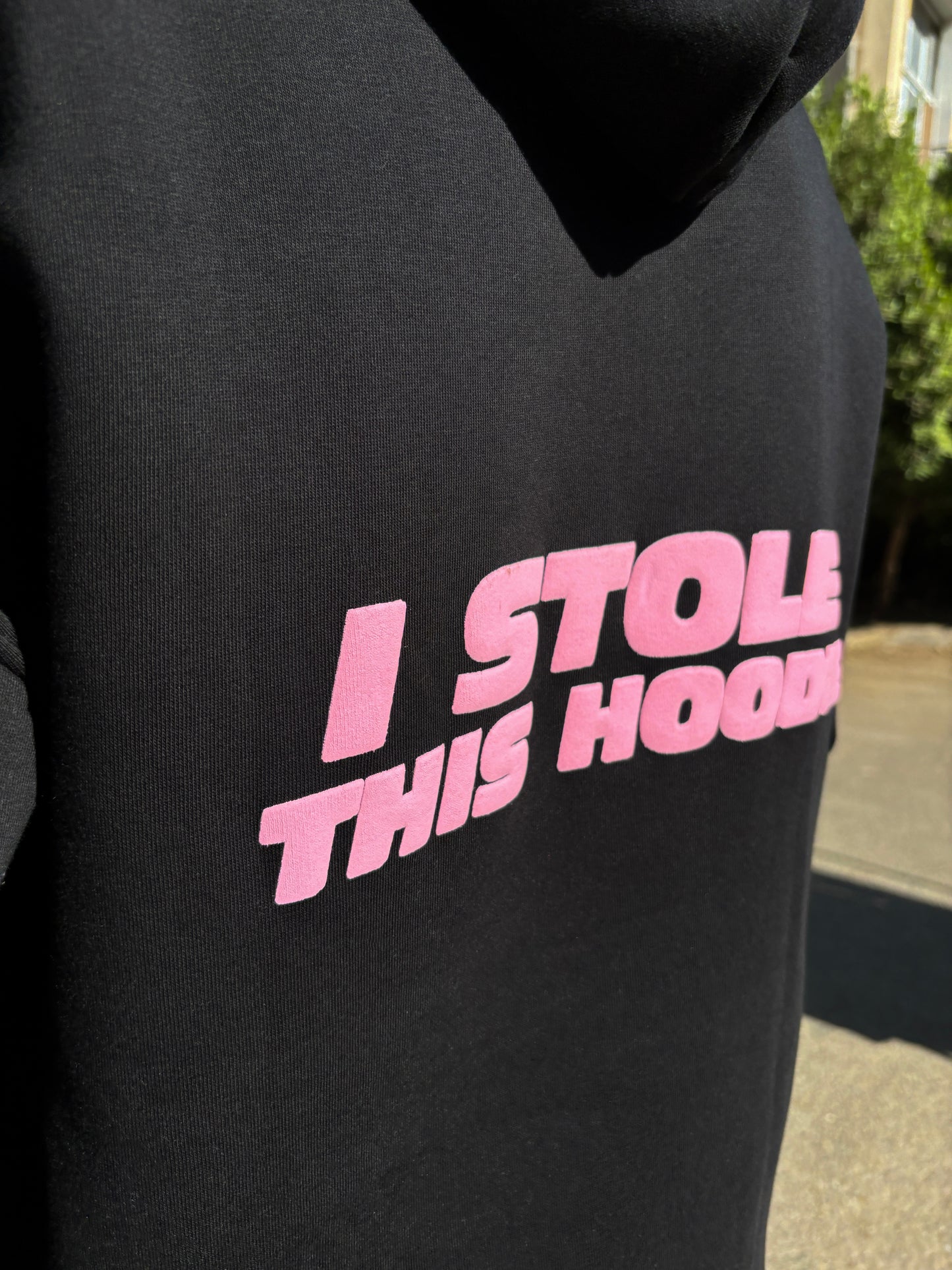 I Stole This Hoodie